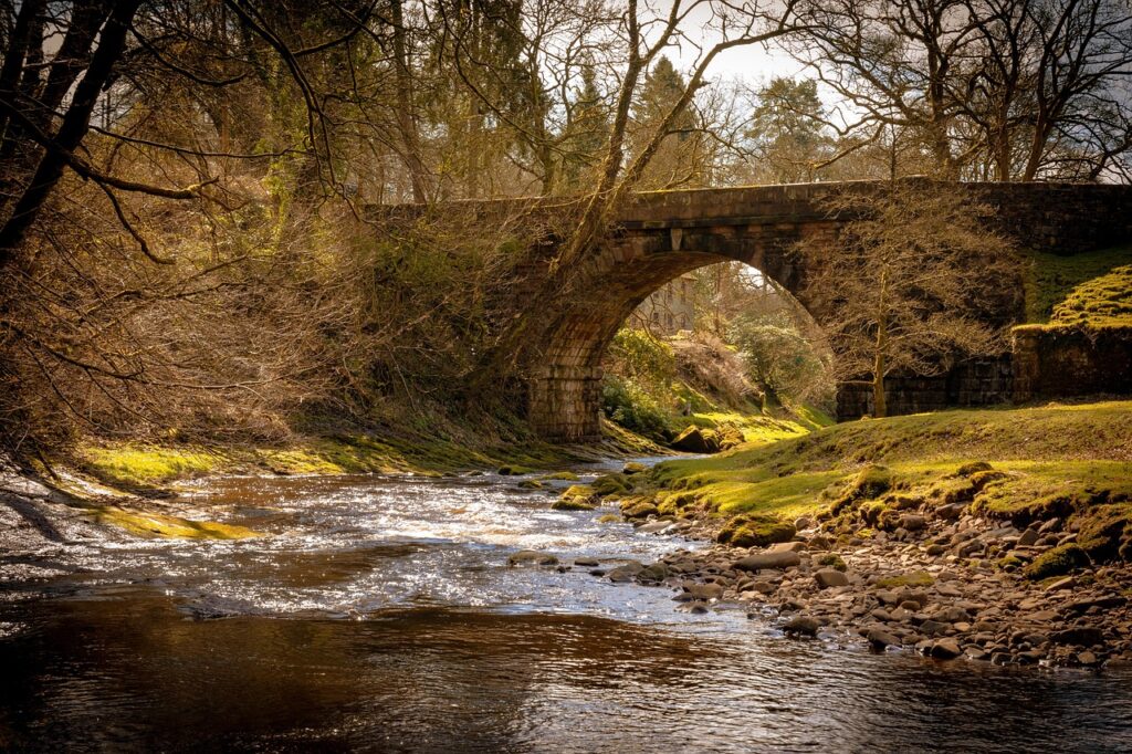 stream, river, bridge, forest, trees, nature, staffordshire, landscape, staffordshire, staffordshire, staffordshire, staffordshire, staffordshire